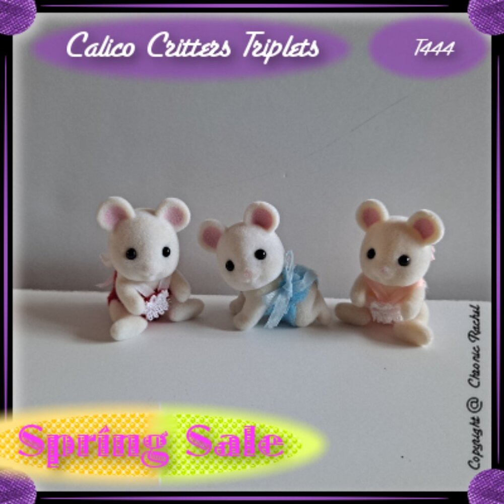 White Mouse Family Triplets